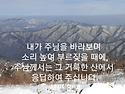 순례길에서