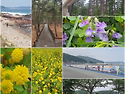 해파랑길 25(오산항)- 23코스