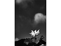 Test 4..