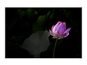 Test 2..