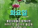 화요일