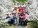 26/4/14(화) 에덴벚꽃길