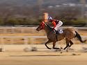 과천 경마장(2.28)