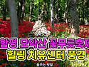 함평 모악산 꽃무릇축제 힐링 치유센타 풍경