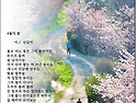 4월의 꽃 / 신달자