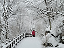태백산 눈 산행_20230115