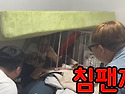 침팬지