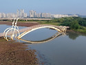 미생다리