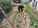 # 금포국민학교졸업 장세영이용소 금빛대학졸업.&