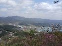 좌이산