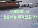 눈보라를 벗삼아 해루질을..
