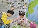 5월17일 올챙이- 윤슬 손..