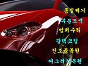 영 덴트칼라 위치