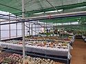 서귀포무지개꽃시장오픈 064-767-4939 토평동590-1 번지