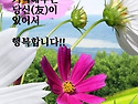 행복한 11월 보내세요