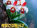 행복한 하루 보내세요
