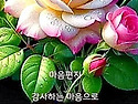 행복한 하루 보내세요
