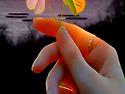 행복한 하루 보내세요