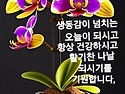 행복한 하루 보내세요