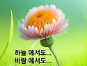 행복한 휴일되세여