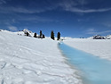 [Video] 밴쿠버 Elfin Lakes, P..