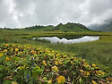 일본 히우치산(火打山/Mt.Hiuchi, ..