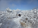 태백산(Taebaeksan), 새하얀 눈으로 ..