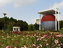 올림픽공원