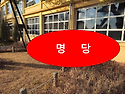 부자 소나무