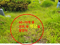 부산 대정 공원묘원