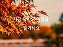 당신의 계절을 즐기세요