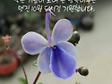 아름다운 10월 ! 눈으로 마음으로 담자