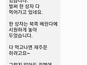 제주노지감귤