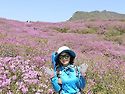 황매산