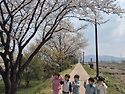 음률:미운 아기 오리