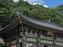 2026.8.23. 처서, 수리사