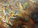 4.22일 배송메뉴