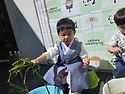 단오맞이 '청포물에 손씻기..