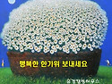 행복한 한가위 되세요