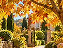 모차르트 스타일 · Autumn Morni..