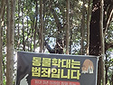 강산에 대장님 길