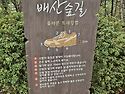 8/9일 거창대장님 배산 둘레길 도보 흔..
