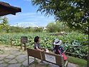 8월26일(수)울산야도
