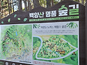 백양산 선암사 둘레길