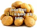 감자의 효능