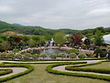 용인 자작나무 숲