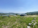31930 강상면 화양리 강조..