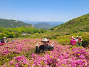 2026-05-10일 황매산 2