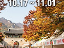 문경사과축제 감홍사과 수..