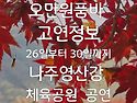 공연정보